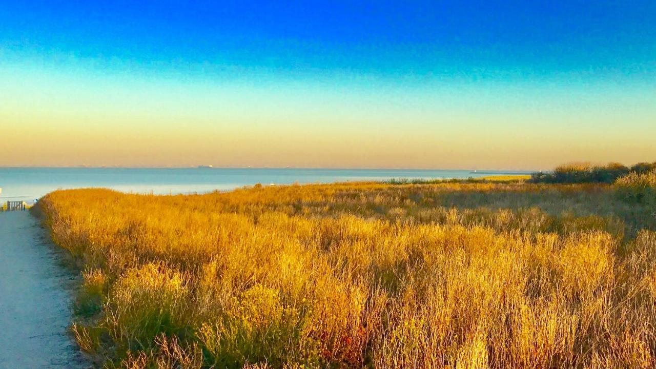 Bed and Breakfast Boutique Hide & Seek, Bed & Beach Гаага Екстер'єр фото